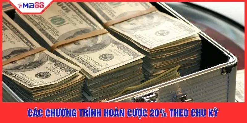 Các chương trình hoàn cược 20% theo chu kỳ 