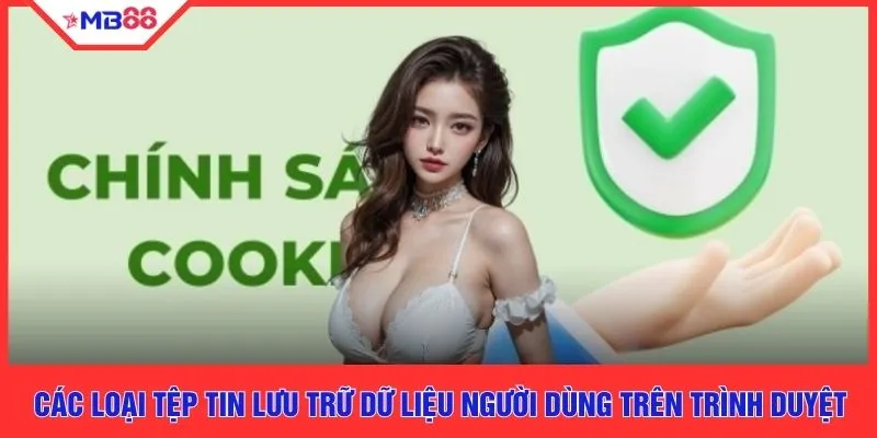 Các loại tệp tin lưu trữ dữ liệu người dùng trên trình duyệt